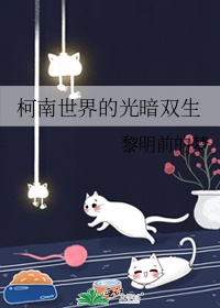 Conan thế giới quang ám song sinh 