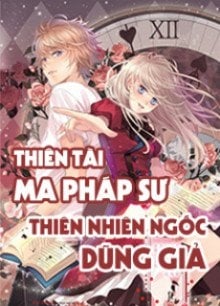 Pháp sư Thiên tài cùng Anh hùng Ngây ngô